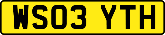 WS03YTH