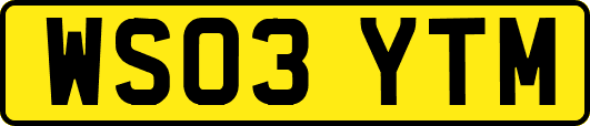 WS03YTM
