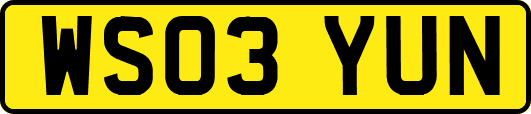 WS03YUN