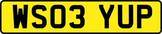WS03YUP