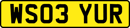 WS03YUR