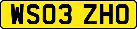WS03ZHO