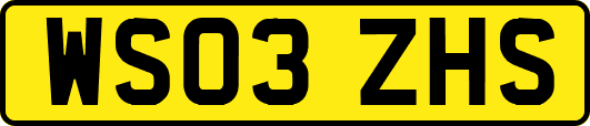 WS03ZHS