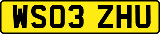 WS03ZHU