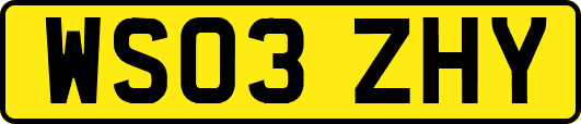 WS03ZHY