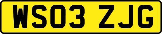 WS03ZJG