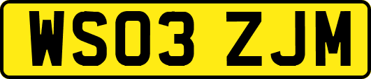 WS03ZJM