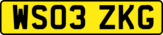 WS03ZKG