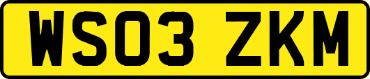WS03ZKM