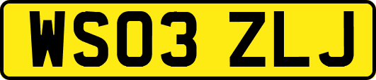 WS03ZLJ