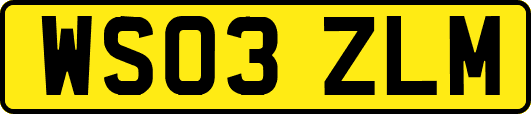 WS03ZLM