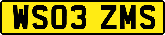 WS03ZMS