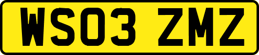 WS03ZMZ