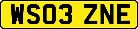 WS03ZNE