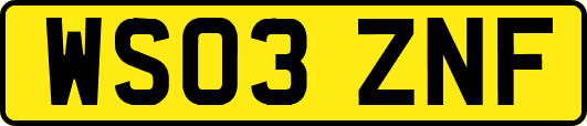 WS03ZNF