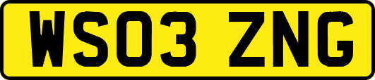 WS03ZNG