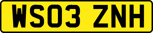 WS03ZNH