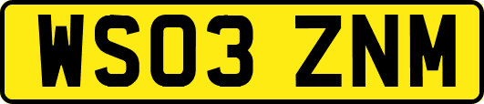 WS03ZNM