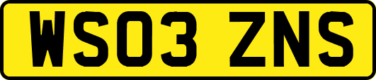 WS03ZNS