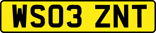 WS03ZNT