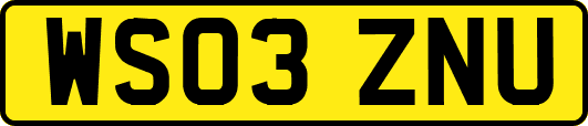 WS03ZNU