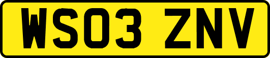 WS03ZNV