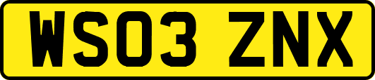 WS03ZNX