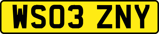 WS03ZNY