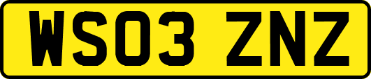 WS03ZNZ