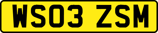 WS03ZSM