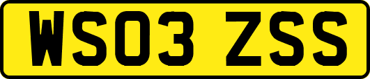 WS03ZSS