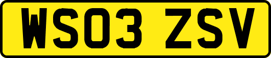 WS03ZSV