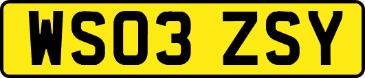 WS03ZSY