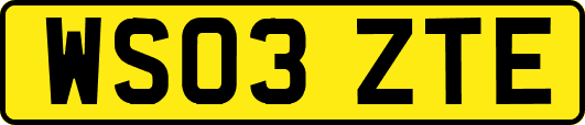 WS03ZTE