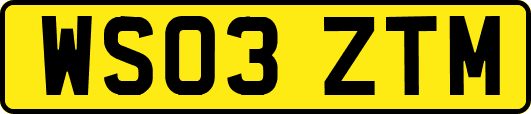 WS03ZTM