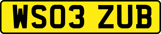 WS03ZUB