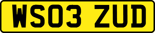 WS03ZUD