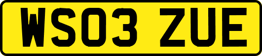 WS03ZUE