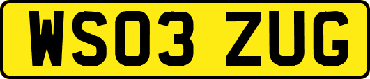 WS03ZUG