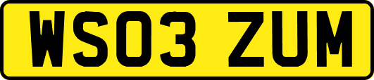 WS03ZUM