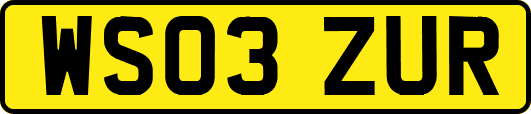 WS03ZUR