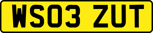 WS03ZUT