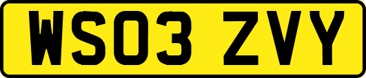 WS03ZVY