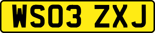 WS03ZXJ
