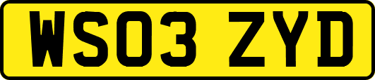 WS03ZYD