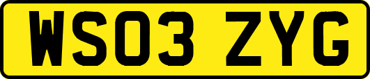 WS03ZYG