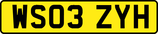 WS03ZYH