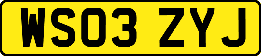WS03ZYJ
