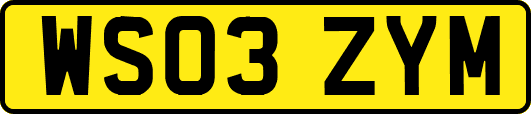 WS03ZYM