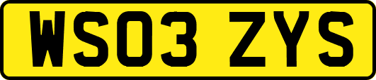 WS03ZYS
